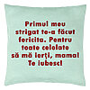Perna Decorativa, Model Mama Te Iubesc 2, 40x40 cm, Verde Menta, Husa Detasabila, Burduf 22 Perna Decorativa