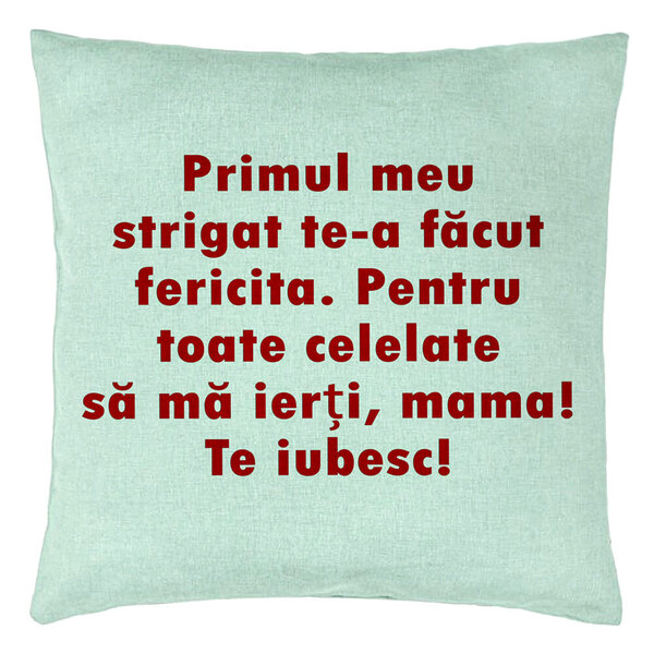 Perna Decorativa, Model Mama Te Iubesc 2, 40x40 cm, Verde Menta, Husa Detasabila, Burduf 15 Perna Decorativa