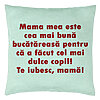 Perna Decorativa, Model Model Pentru Mama Te iubesc 6, 40x40 cm, Verde Menta, Husa Detasabila, Burduf 22 Perna Decorativa