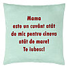 Perna Decorativa, Model Pentru Mama Te iubesc, 40x40 cm, Verde Menta, Husa Detasabila, Burduf 22 Perna Decorativa