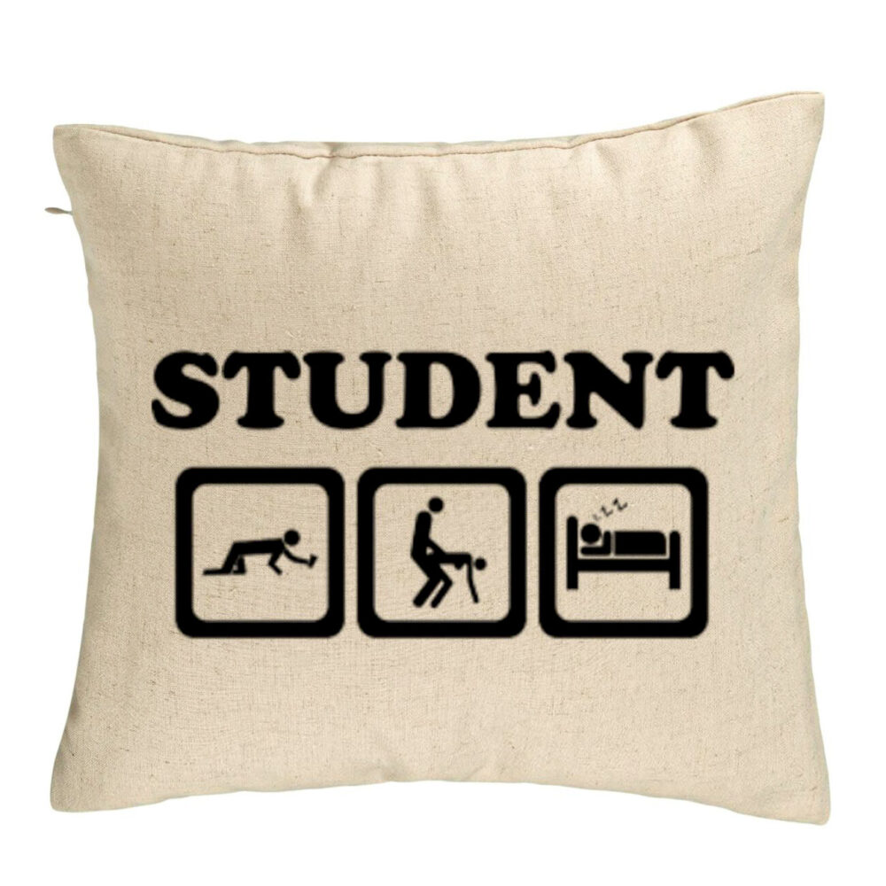 Perna Decorativa, Model Student, 40x40 cm, Bej, Husa Detasabila, Burduf 5 Perna Decorativa