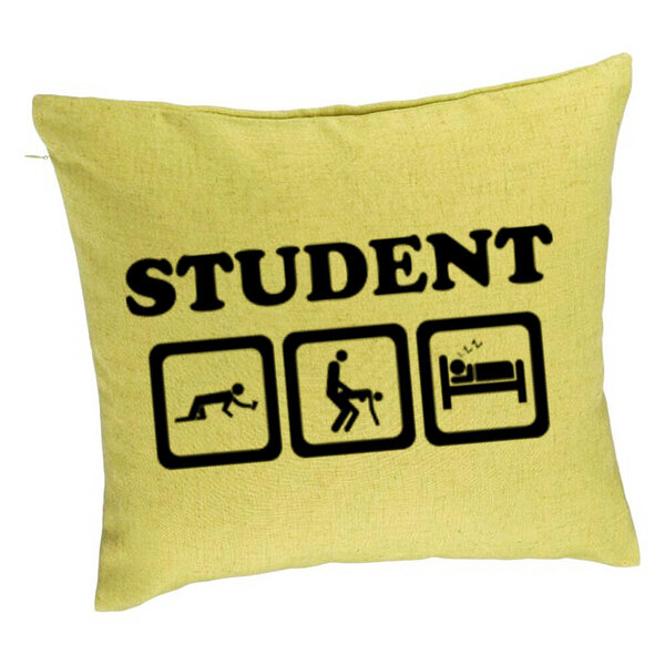 Perna Decorativa, Model Student, 40x40 cm, Verde, Husa Detasabila, Burduf 5 Perna Decorativa