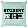 Perna Decorativa, Model Student, 40x40 cm, Verde Menta, Husa Detasabila, Burduf 22 Perna Decorativa