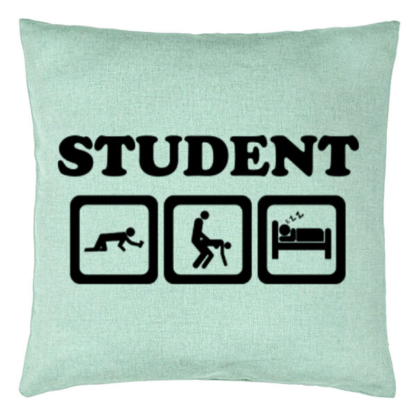 Perna Decorativa, Model Student, 40x40 cm, Verde Menta, Husa Detasabila, Burduf 15 Perna Decorativa