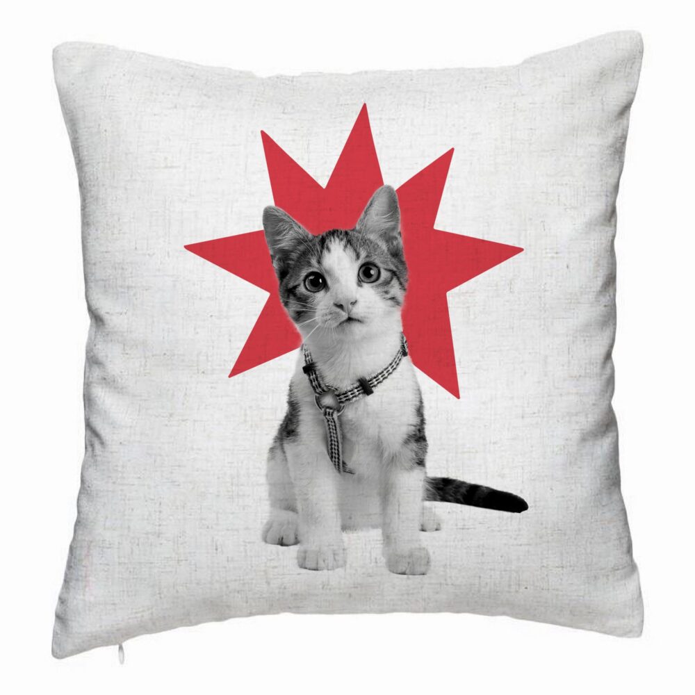 Perna Decorativa, Model Super Cat, 40x40 cm, Alb Murdar, Husa Detasabila, Burduf 5 Perna Decorativa