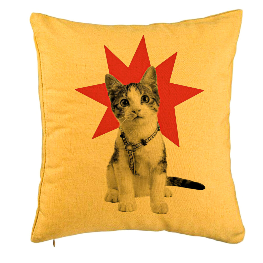 Perna Decorativa, Model Super Cat, 40x40 cm, Galben, Husa Detasabila, Burduf 5 Perna Decorativa