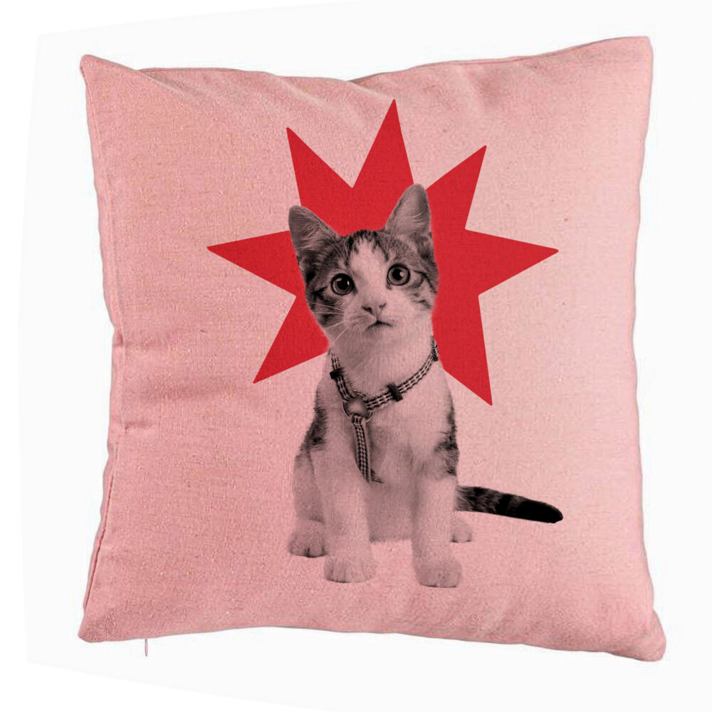 Perna Decorativa, Model Super Cat, 40x40 cm, Roz, Husa Detasabila, Burduf 5 Perna Decorativa