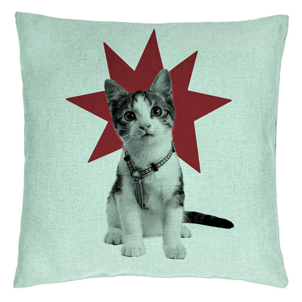 Perna Decorativa, Model Super Cat, 40x40 cm, Verde Menta, Husa Detasabila, Burduf 13 Perna Decorativa