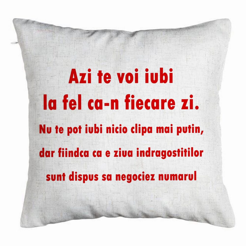 Perna Decorativa, Model Ziua Indragostitilor, 40x40 cm, Alb Murdar, Husa Detasabila, Burduf 5 Perna Decorativa
