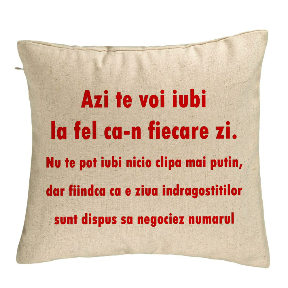 Perna Decorativa, Model Ziua Indragostitilor, 40x40 cm, Bej, Husa Detasabila, Burduf 5 Perna Decorativa