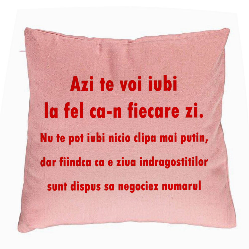 Perna Decorativa, Model Ziua Indragostitilor, 40x40 cm, Roz, Husa Detasabila, Burduf 5 Perna Decorativa