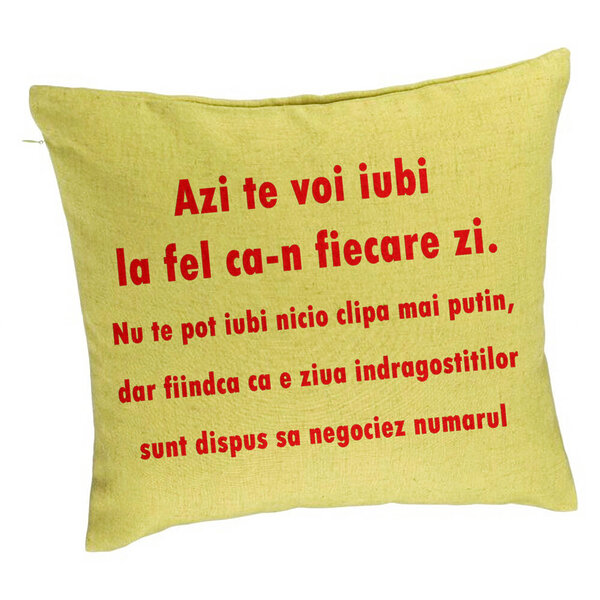 Perna Decorativa, Model Ziua Indragostitilor, 40x40 cm, Verde, Husa Detasabila, Burduf 5 Perna Decorativa