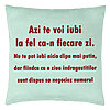 Perna Decorativa, Model Ziua Indragostitilor, 40x40 cm, Verde Menta, Husa Detasabila, Burduf 22 Perna Decorativa