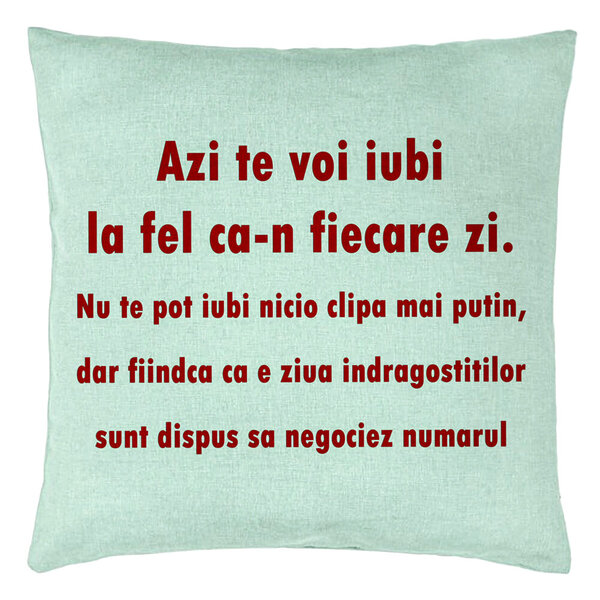 Perna Decorativa, Model Ziua Indragostitilor, 40x40 cm, Verde Menta, Husa Detasabila, Burduf 15 Perna Decorativa