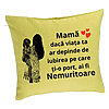 Perna Decorativa, Model pentru Mama 1, 40x40 cm, Verde, Husa Detasabila, Burduf 7 Perna Decorativa