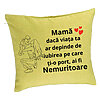 Perna Decorativa, Model pentru Mama 10, 40x40 cm, Verde, Husa Detasabila, Burduf 7 Perna Decorativa