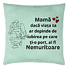 Perna Decorativa, Model pentru Mama 10, 40x40 cm, Verde Menta, Husa Detasabila, Burduf 22 Perna Decorativa