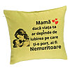 Perna Decorativa, Model pentru Mama 11, 40x40 cm, Verde, Husa Detasabila, Burduf 7 Perna Decorativa