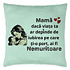 Perna Decorativa, Model pentru Mama 11, 40x40 cm, Verde Menta, Husa Detasabila, Burduf 22 Perna Decorativa