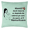 Perna Decorativa, Model pentru Mama 12, 40x40 cm, Verde Menta, Husa Detasabila, Burduf 22 Perna Decorativa