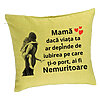 Perna Decorativa, Model pentru Mama 2, 40x40 cm, Verde, Husa Detasabila, Burduf 7 Perna Decorativa