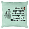 Perna Decorativa, Model pentru Mama 3, 40x40 cm, Verde Menta, Husa Detasabila, Burduf 22 Perna Decorativa