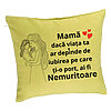 Perna Decorativa, Model pentru Mama 4, 40x40 cm, Verde, Husa Detasabila, Burduf 7 Perna Decorativa
