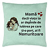Perna Decorativa, Model pentru Mama 6, 40x40 cm, Verde Menta, Husa Detasabila, Burduf 22 Perna Decorativa