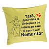 Perna Decorativa, Model pentru Mama 7, 40x40 cm, Verde, Husa Detasabila, Burduf 7 Perna Decorativa