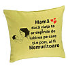 Perna Decorativa, Model pentru Mama 9, 40x40 cm, Verde, Husa Detasabila, Burduf 7 Perna Decorativa