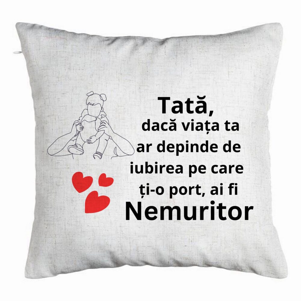 Perna Decorativa, Model pentru Tata 1, 40x40 cm, Alb Murdar, Husa Detasabila, Burduf 5 Perna Decorativa
