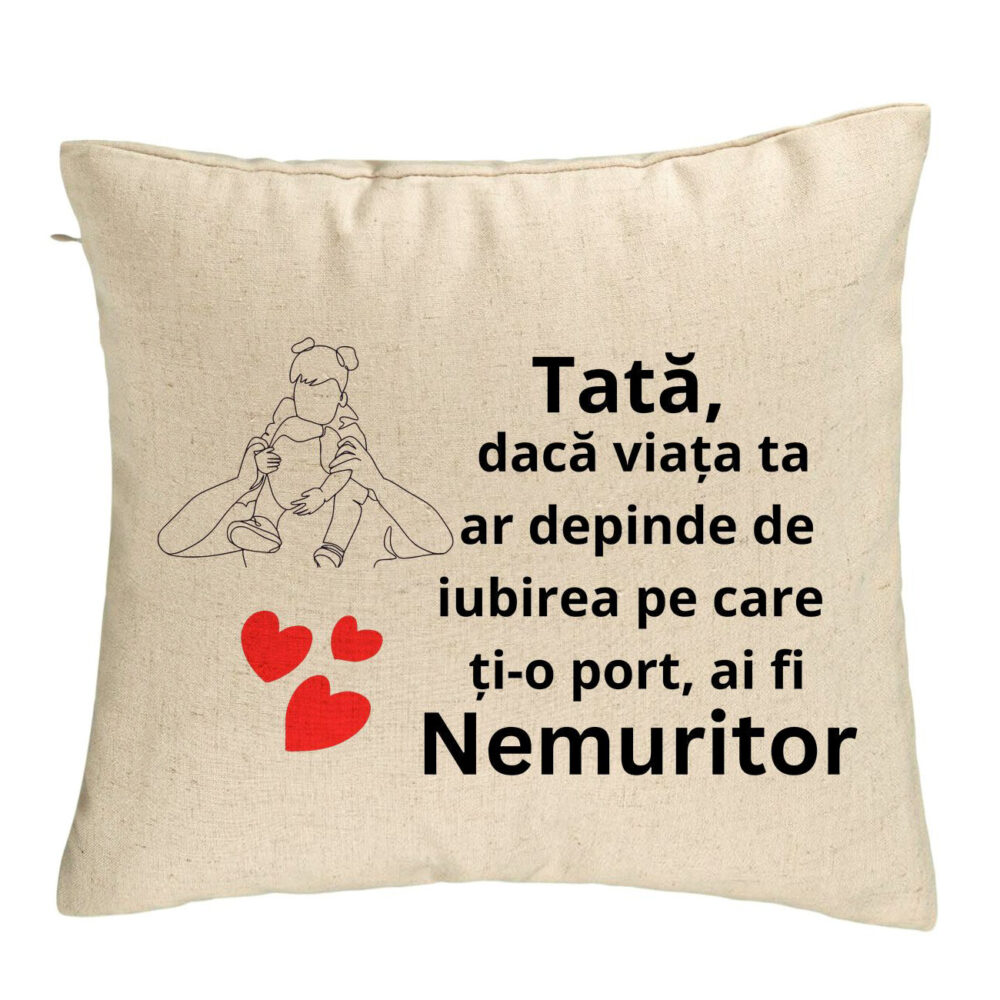 Perna Decorativa, Model pentru Tata 1, 40x40 cm, Bej, Husa Detasabila, Burduf 5 Perna Decorativa
