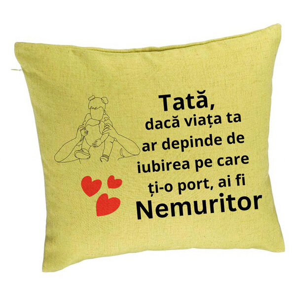 Perna Decorativa, Model pentru Tata 1, 40x40 cm, Verde, Husa Detasabila, Burduf 5 Perna Decorativa