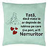 Perna Decorativa, Model pentru Tata 1, 40x40 cm, Verde Menta, Husa Detasabila, Burduf 22 Perna Decorativa