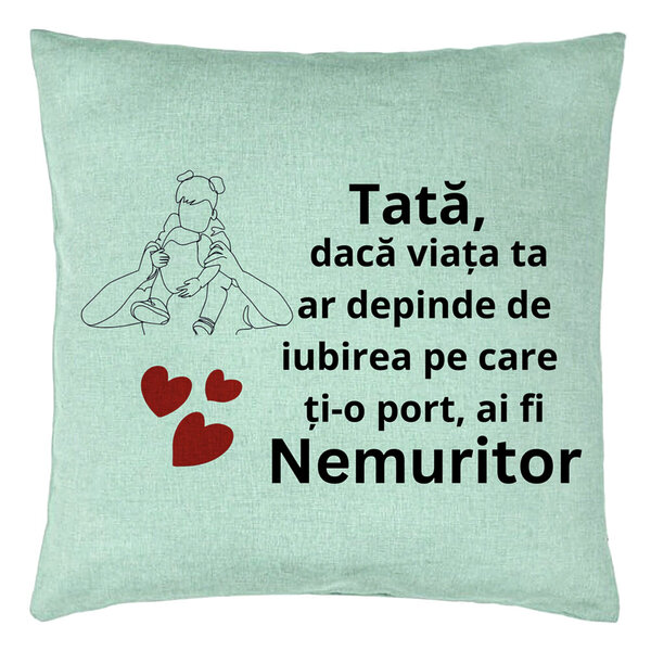Perna Decorativa, Model pentru Tata 1, 40x40 cm, Verde Menta, Husa Detasabila, Burduf 15 Perna Decorativa