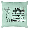 Perna Decorativa, Model pentru Tata 10, 40x40 cm, Verde Menta, Husa Detasabila, Burduf 22 Perna Decorativa