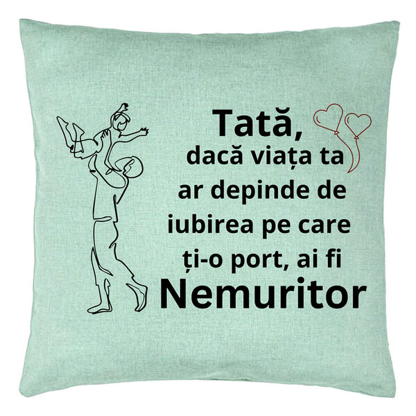 Perna Decorativa, Model pentru Tata 10, 40x40 cm, Verde Menta, Husa Detasabila, Burduf 15 Perna Decorativa