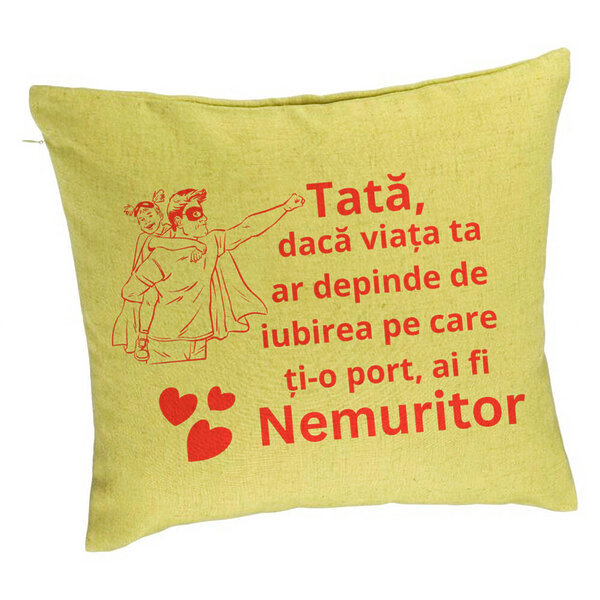Perna Decorativa, Model pentru Tata 11, 40x40 cm, Verde, Husa Detasabila, Burduf 5 Perna Decorativa