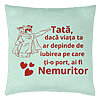 Perna Decorativa, Model pentru Tata 11, 40x40 cm, Verde Menta, Husa Detasabila, Burduf 22 Perna Decorativa