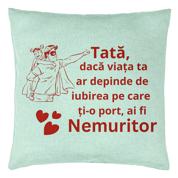 Perna Decorativa, Model pentru Tata 11, 40x40 cm, Verde Menta, Husa Detasabila, Burduf 15 Perna Decorativa