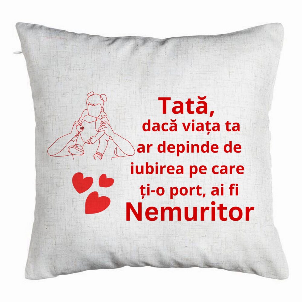 Perna Decorativa, Model pentru Tata 2, 40x40 cm, Alb Murdar, Husa Detasabila, Burduf 5 Perna Decorativa