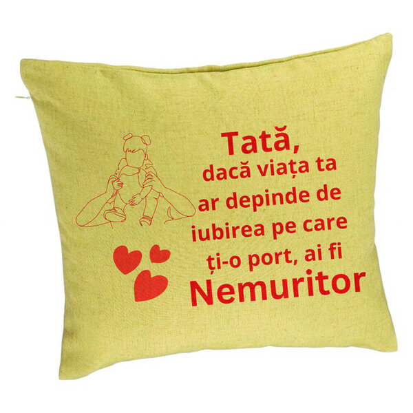Perna Decorativa, Model pentru Tata 2, 40x40 cm, Verde, Husa Detasabila, Burduf 5 Perna Decorativa