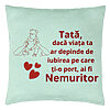 Perna Decorativa, Model pentru Tata 2, 40x40 cm, Verde Menta, Husa Detasabila, Burduf 22 Perna Decorativa
