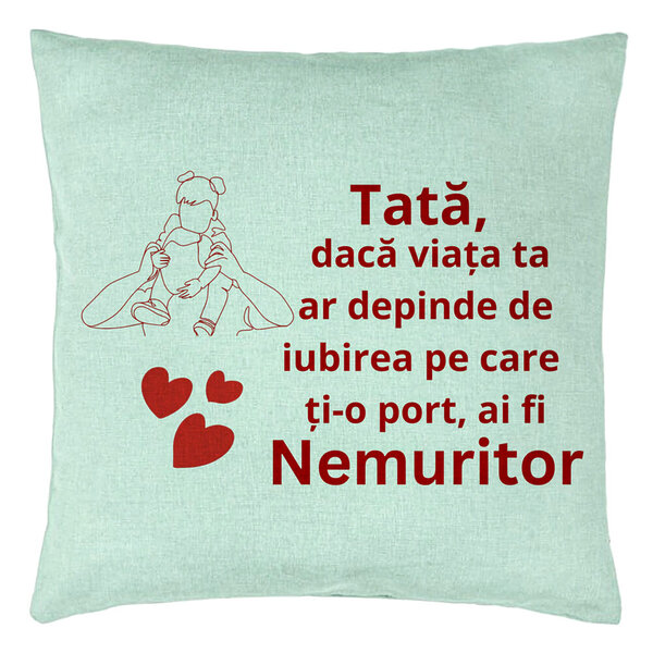 Perna Decorativa, Model pentru Tata 2, 40x40 cm, Verde Menta, Husa Detasabila, Burduf 15 Perna Decorativa