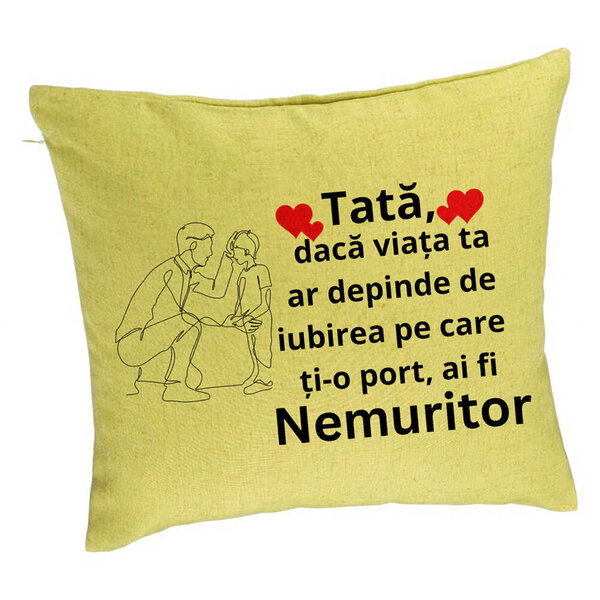 Perna Decorativa, Model pentru Tata 3, 40x40 cm, Verde, Husa Detasabila, Burduf 5 Perna Decorativa