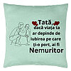 Perna Decorativa, Model pentru Tata 3, 40x40 cm, Verde Menta, Husa Detasabila, Burduf 22 Perna Decorativa