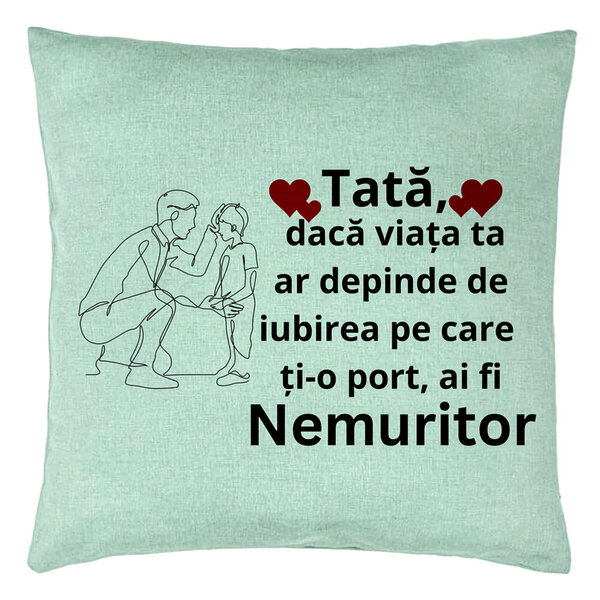 Perna Decorativa, Model pentru Tata 3, 40x40 cm, Verde Menta, Husa Detasabila, Burduf 15 Perna Decorativa