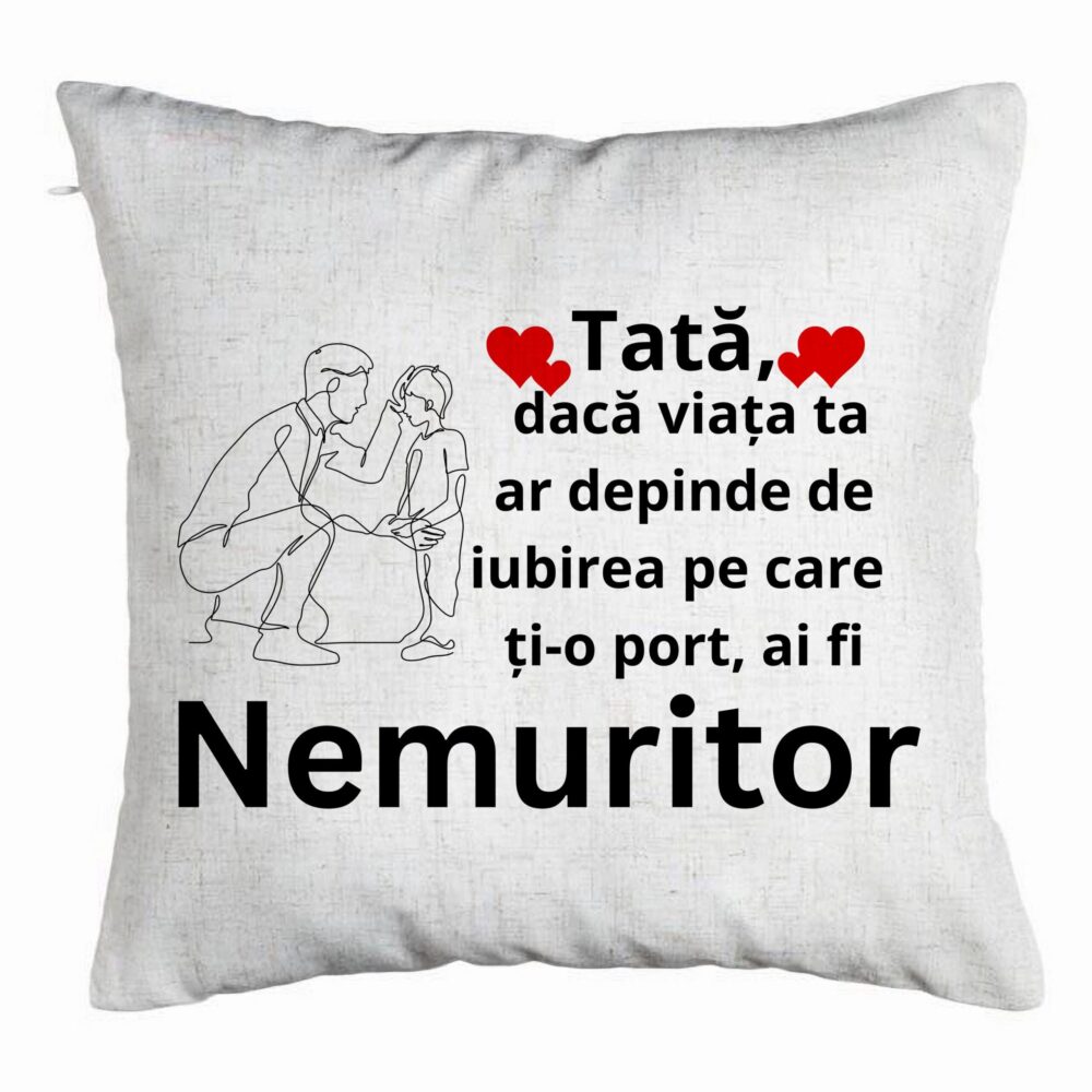Perna Decorativa, Model pentru Tata 4, 40x40 cm, Alb Murdar, Husa Detasabila, Burduf 5 Perna Decorativa