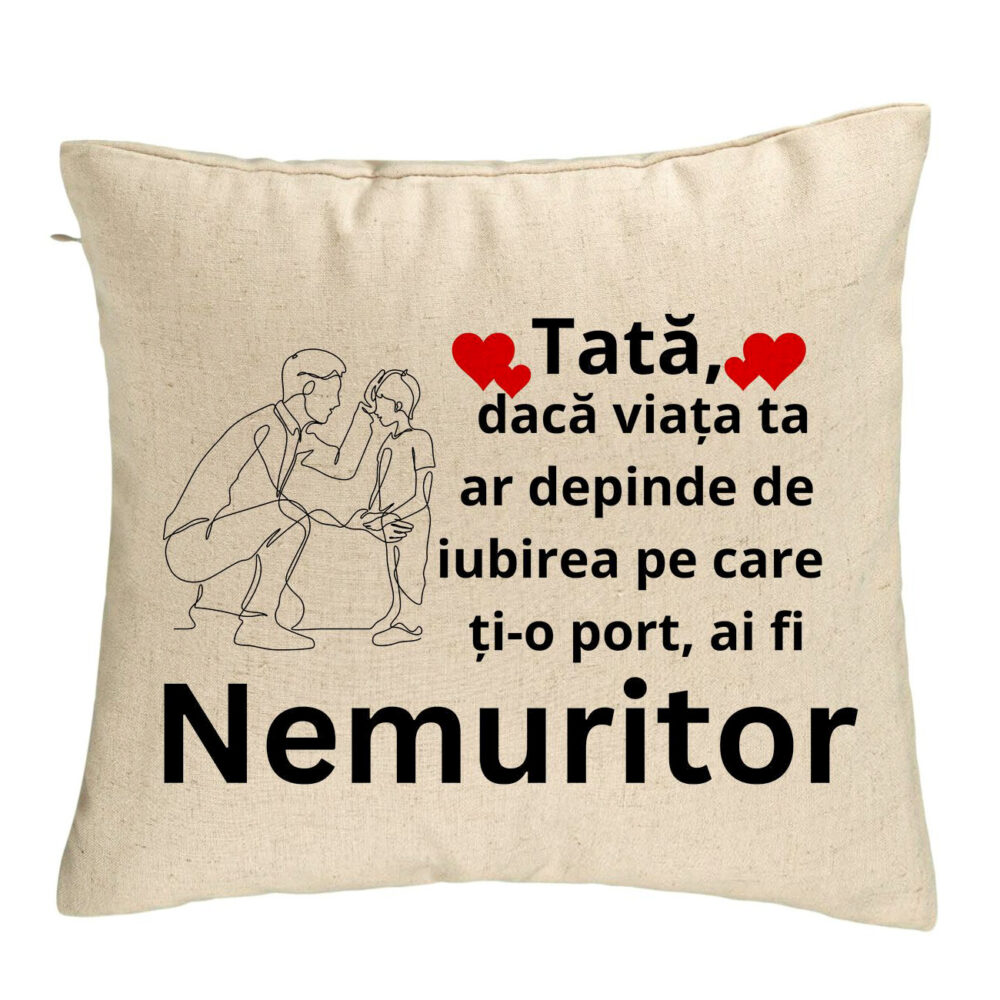 Perna Decorativa, Model pentru Tata 4, 40x40 cm, Bej, Husa Detasabila, Burduf 5 Perna Decorativa