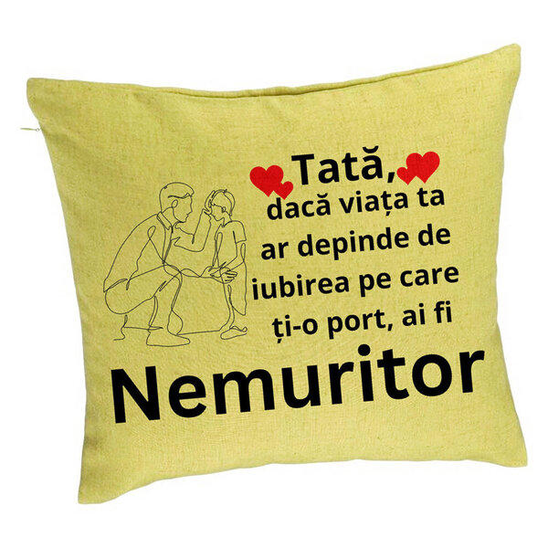 Perna Decorativa, Model pentru Tata 4, 40x40 cm, Verde, Husa Detasabila, Burduf 5 Perna Decorativa